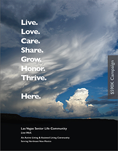 Las Vegas Senior Life Community $590K Capital Campaign Brochure