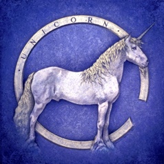 Unicorn Illustration